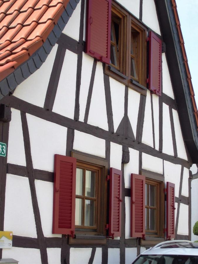 Ferienhaus Pfalzklause Billigheim-Ingenheim المظهر الخارجي الصورة